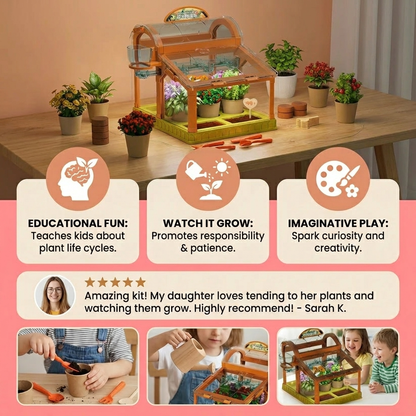 LED Acrylic Kids Greenhouse – Indoor Plant Growing Kit for Learning & Fun