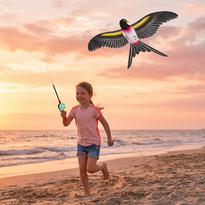 Flapping Wing Kite for Kids – Improves Coordination & Motor Skills