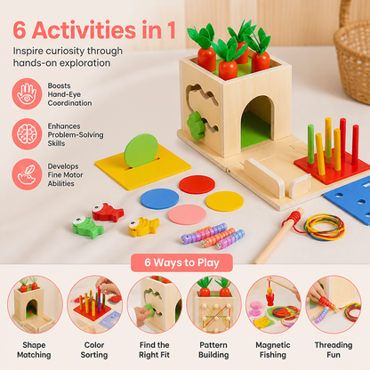 6-in-1 Montessori Wooden Shapes and Figures Educational Cube