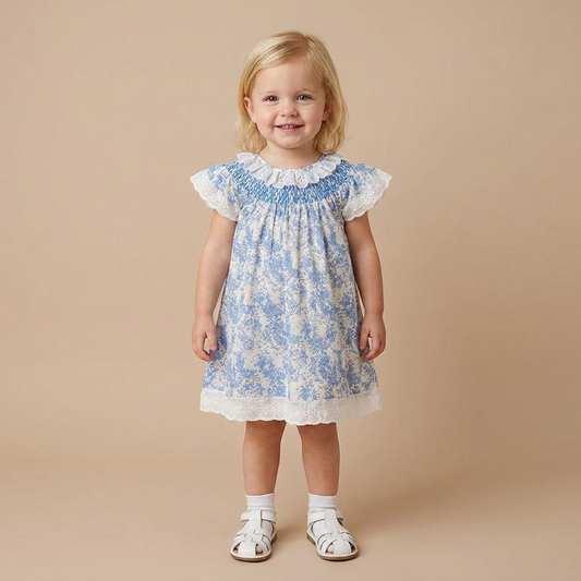 Timeless Blue Toile Dress