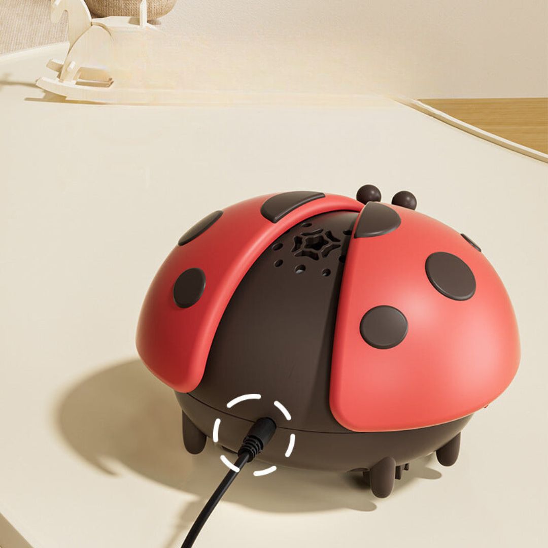 Ladybird Air Ball Toy for Babies