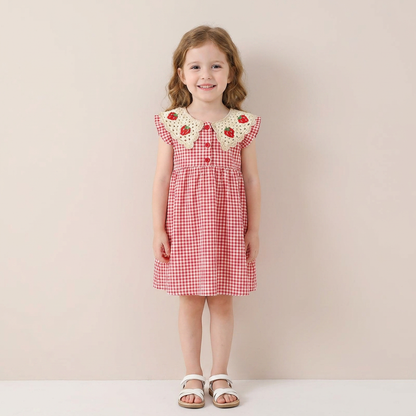 Strawberry Picnic Dress