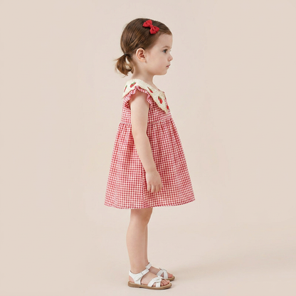 Strawberry Picnic Dress