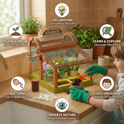 LED Acrylic Kids Greenhouse – Indoor Plant Growing Kit for Learning & Fun