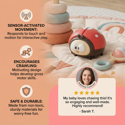 Ladybird Air Ball Toy for Babies