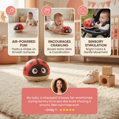 Ladybird Air Ball Toy for Babies